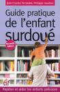 Le Guide Pratique De L'Enfant Surdoué ; Repérer Et Aider Les Enfants Précoces - Preview