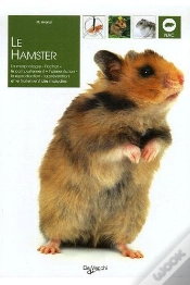 Capa do artigo Le Hamster