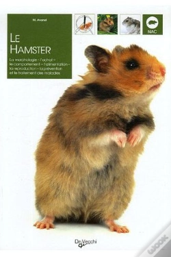 Capa do artigo Le Hamster