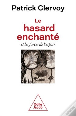 Capa do artigo Le Hasard Enchanté