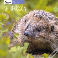 Capa do artigo Le Hérisson