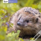 Capa do artigo Le Hérisson
