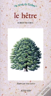 Capa do artigo Le Hetre