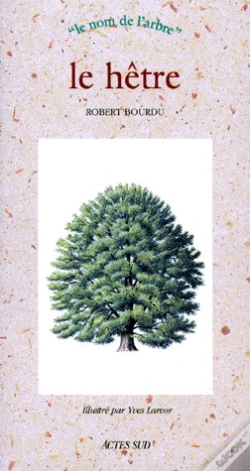 Capa do artigo Le Hetre