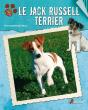 Le Jack Russell Terrier - Preview