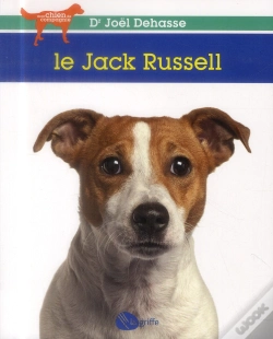 Capa do artigo Le Jack Russell Terrier