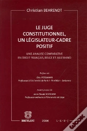 Le Juge Constitutionnel, Un Legislateur-Cadre Positif