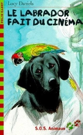 Le Labrador Fait Du Cinema