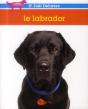 Le Labrador - Preview