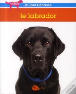 Capa do artigo Le Labrador