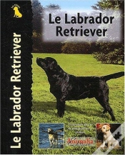 Capa do artigo Le Labrador Retriever