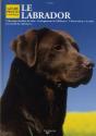 Le Labrador - Preview