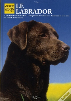 Capa do artigo Le Labrador