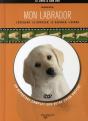 Le Labrador - Preview