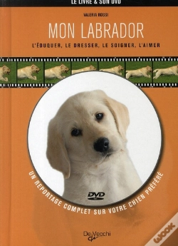 Capa do artigo Le Labrador