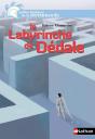 Le Labyrinthe De Dedale - Preview