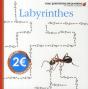 Le Labyrinthe Des Insectes - Preview