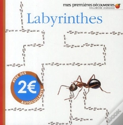 Capa do artigo Le Labyrinthe Des Insectes