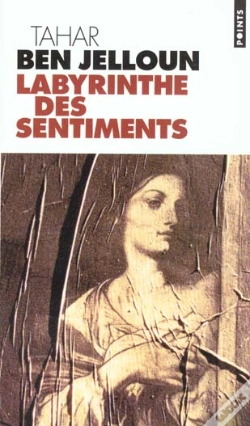 Capa do artigo Le Labyrinthe Des Sentiments