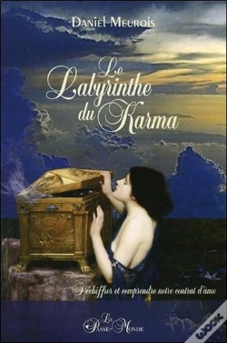 Capa do artigo Le Labyrinthe Du Karma - Dechiffrer Et Comprendre Notre Contrat D'Ame