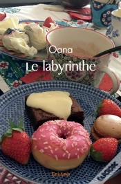 Capa do artigo Le Labyrinthe