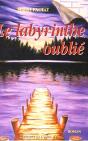 Le Labyrinthe Oublié T.1 - Preview