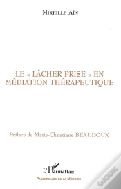 Capa do artigo Le Lacher Prise En Mediation Therapeutique