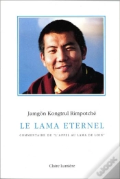 Capa do artigo Le Lama Eternel