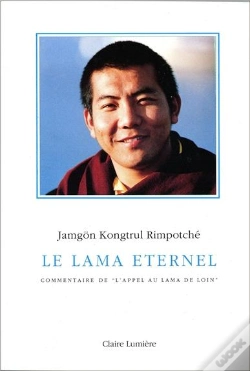 Capa do artigo Le Lama Eternel