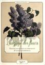 Le Langage Des Fleurs - Preview