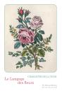 Le Langage Des Fleurs - Preview