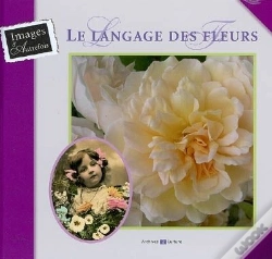 Capa do artigo Le Langage Des Fleurs