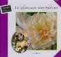 Le Langage Des Fleurs - Preview
