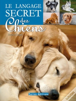 Capa do artigo Le Langage Secret Des Chiens