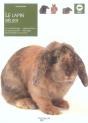 Le Lapin Belier - Preview