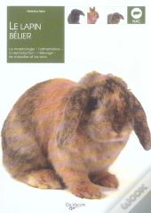 Le Lapin Belier