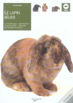 Capa do artigo Le Lapin Belier