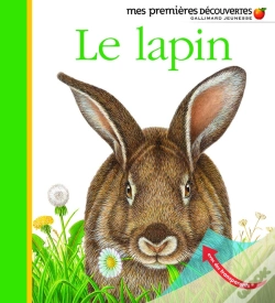 Capa do artigo Le Lapin