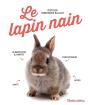 Le Lapin Nain - Preview