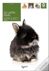 Le Lapin Nain