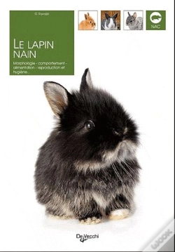 Capa do artigo Le Lapin Nain