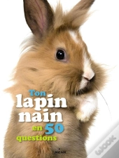 Le Lapin Nain
