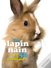 Capa do artigo Le Lapin Nain
