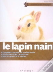 Capa do artigo Le Lapin Nain