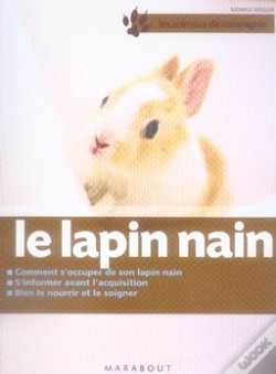 Capa do artigo Le Lapin Nain