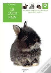 Capa do artigo Le Lapin Nain