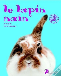 Capa do artigo Le Lapin Nain