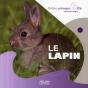 Le Lapin - Preview