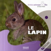 Capa do artigo Le Lapin