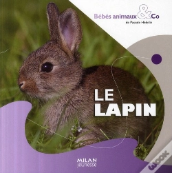 Capa do artigo Le Lapin